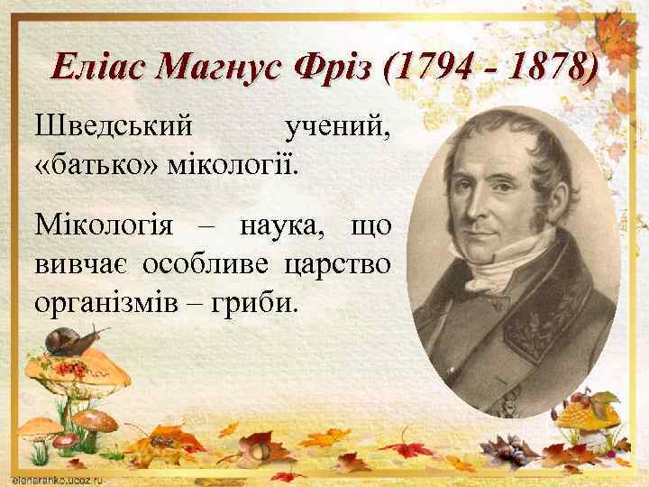 Еліас Магнус Фріз (1794 - 1878) Шведський учений, «батько» мікології. Мікологія – наука, що