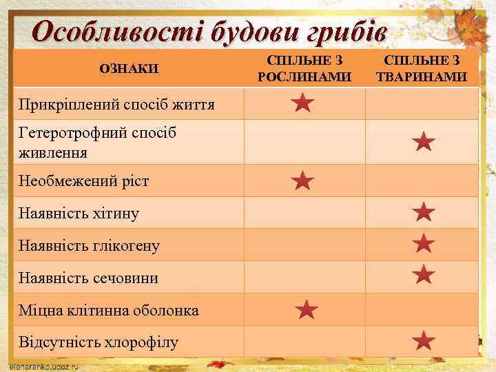 Особливості будови грибів ОЗНАКИ Прикріплений спосіб життя Гетеротрофний спосіб живлення Необмежений ріст Наявність хітину