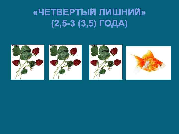  «ЧЕТВЕРТЫЙ ЛИШНИЙ» (2, 5 -3 (3, 5) ГОДА) 