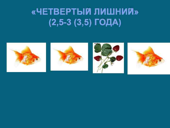  «ЧЕТВЕРТЫЙ ЛИШНИЙ» (2, 5 -3 (3, 5) ГОДА) 