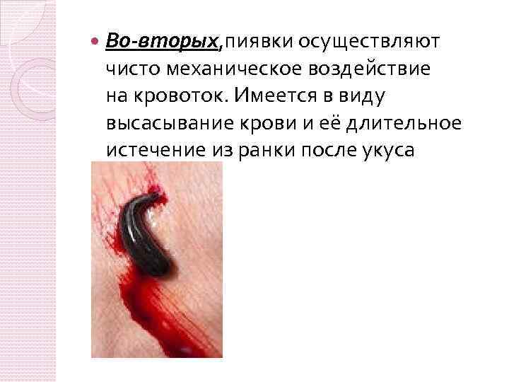  Во-вторых, пиявки осуществляют чисто механическое воздействие на кровоток. Имеется в виду высасывание крови