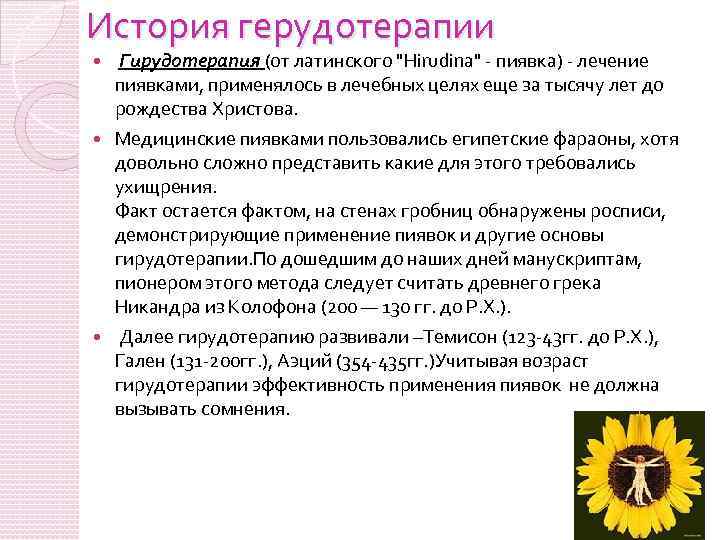 История герудотерапии Гирудотерапия (от латинского 