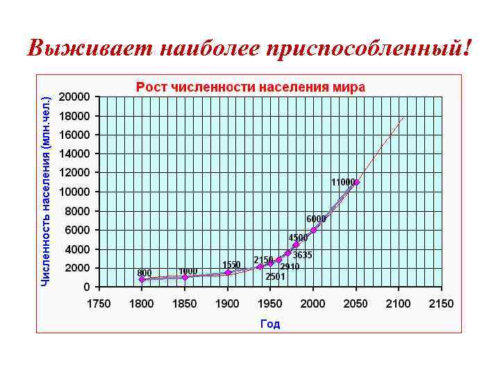 Выживает наиболее приспособленный! 