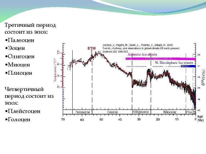 Третичный период состоит из эпох: • Палеоцен • Эоцен • Олигоцен • Миоцен •