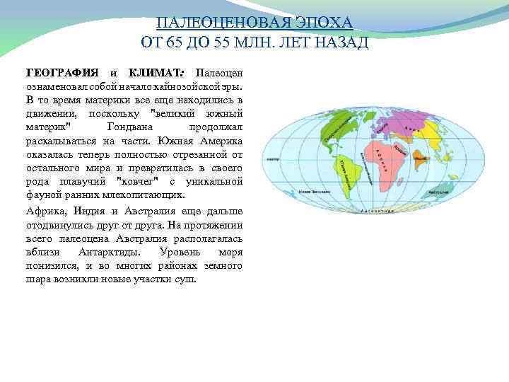 ПАЛЕОЦЕНОВАЯ ЭПОХА ОТ 65 ДО 55 МЛН. ЛЕТ НАЗАД ГЕОГРАФИЯ и КЛИМАТ: Палеоцен ознаменовал