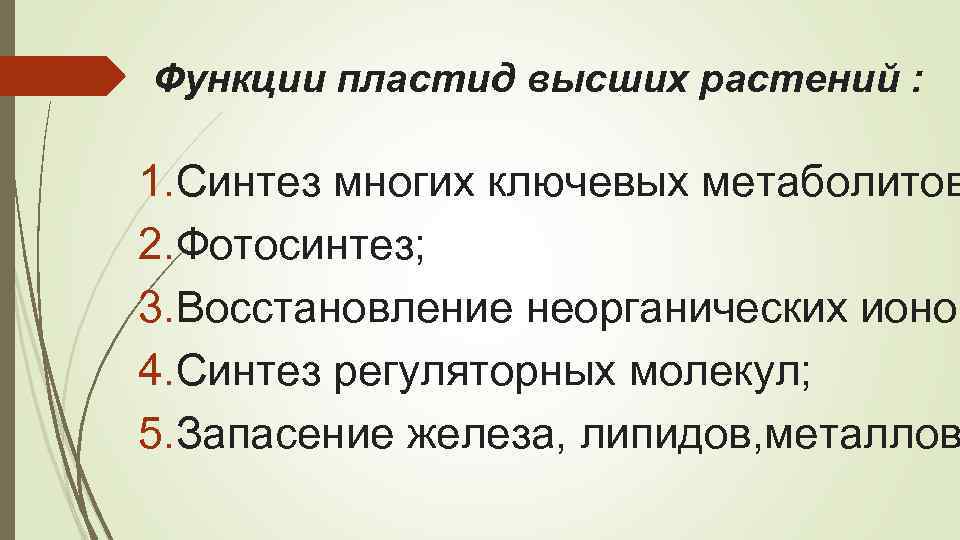 Функции пластид высших растений : 1. Синтез многих ключевых метаболитов 2. Фотосинтез; 3. Восстановление