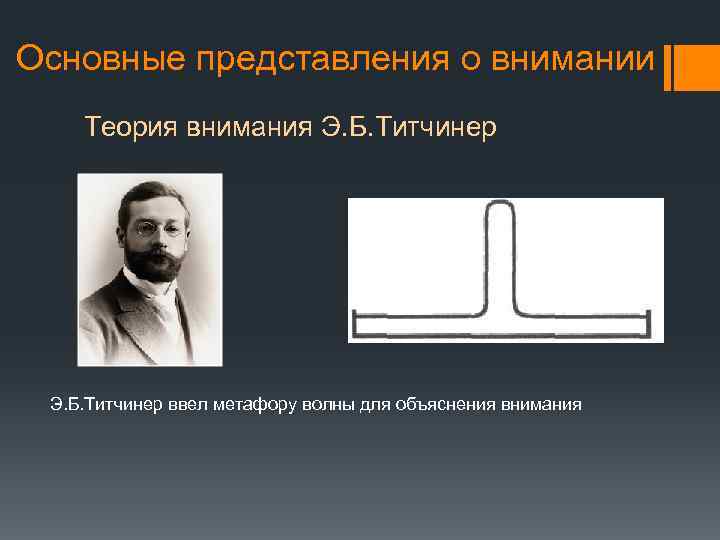 Моторная теория внимания принадлежит