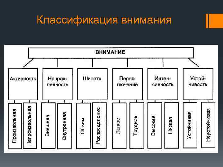 Основанием классификации внимания