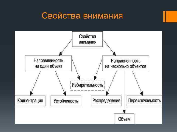 Свойства внимания 