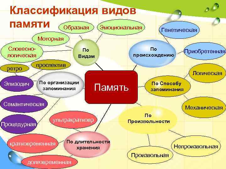 Классификация видов памяти Образная Эмоциональная Генетическая Моторная Словеснологическая По происхождению По Видам Приобретенная проспектив