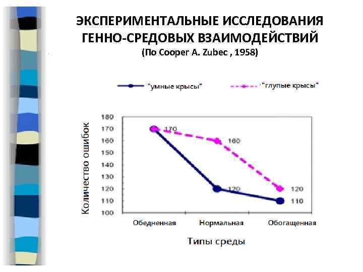 ЭКСПЕРИМЕНТАЛЬНЫЕ ИССЛЕДОВАНИЯ ГЕННО-СРЕДОВЫХ ВЗАИМОДЕЙСТВИЙ (По Cooper A. Zubec , 1958) 