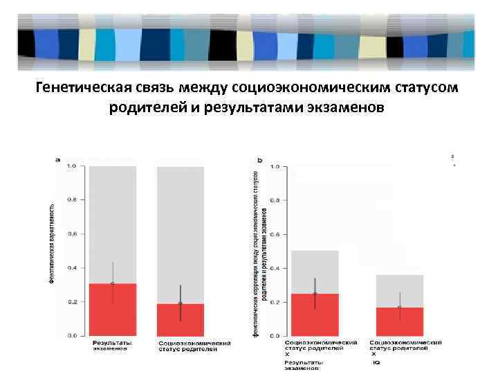 Генетическая связь между социоэкономическим статусом родителей и результатами экзаменов 