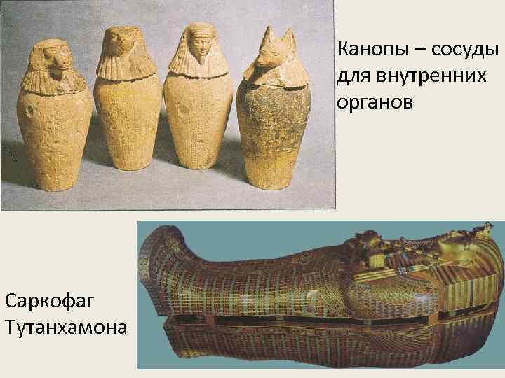 Канопы – сосуды для внутренних органов Саркофаг Тутанхамона 