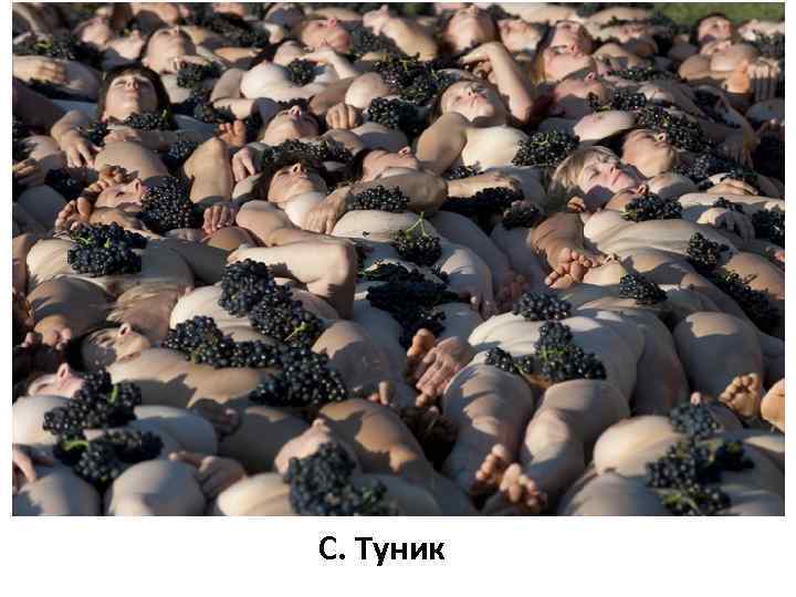 С. Туник 