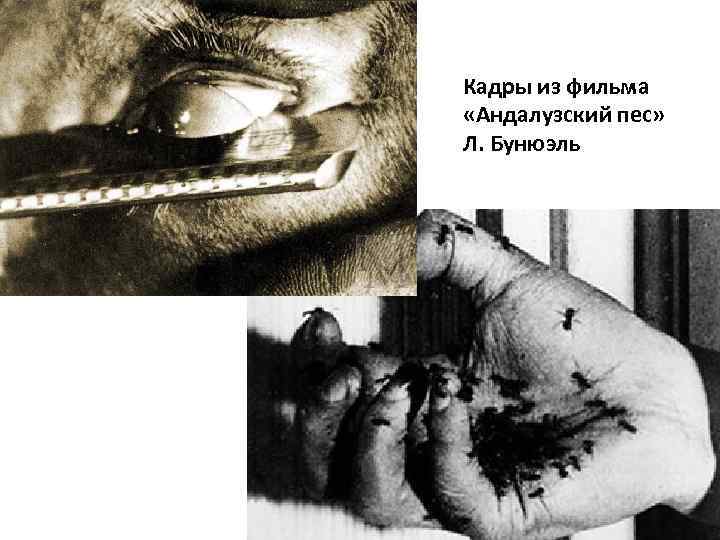Кадры из фильма «Андалузский пес» Л. Бунюэль 