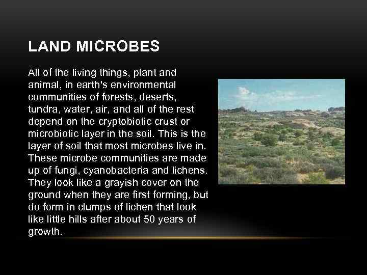 LAND MICROBES All of the living things, plant and animal, in earth's environmental communities