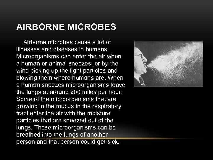 AIRBORNE MICROBES Airborne microbes cause a lot of illnesses and diseases in humans. Microorganisms