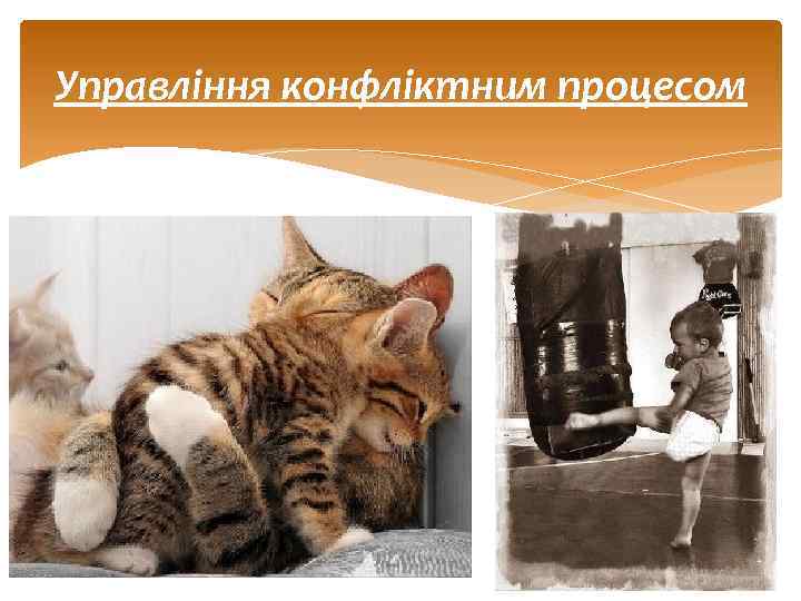 Управління конфліктним процесом 