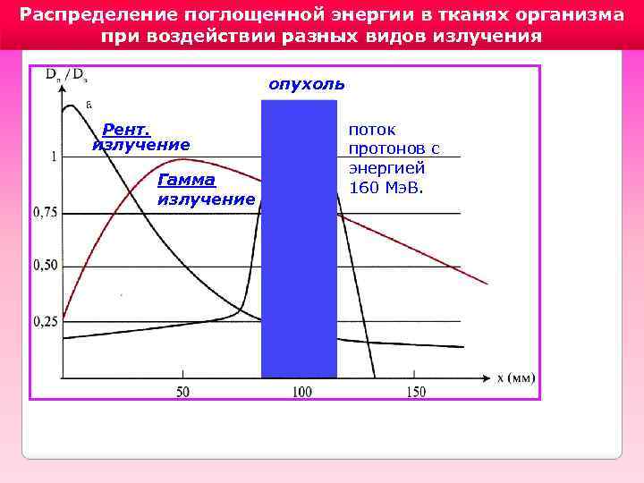 Распределение поглощенной энергии в тканях организма при воздействии разных видов излучения опухоль Рент. излучение