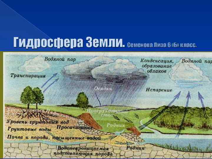 Гидросфера Земли. Семенова Лиза 6 «Б» класс. 