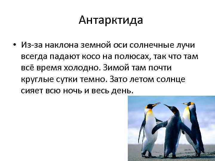 Антарктида • Из-за наклона земной оси солнечные лучи всегда падают косо на полюсах, так