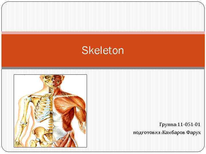 Skeleton Группа: 11 -051 -01 подготовил: Камбаров Фарух 