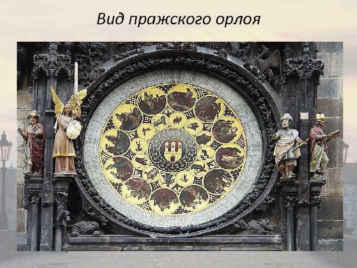 Вид пражского орлоя 