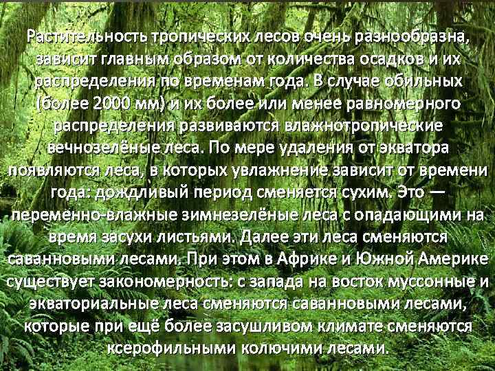 Растительность тропических лесов очень разнообразна, зависит главным образом от количества осадков и их распределения