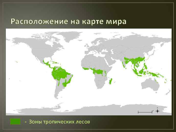 Расположение на карте мира - Зоны тропических лесов 