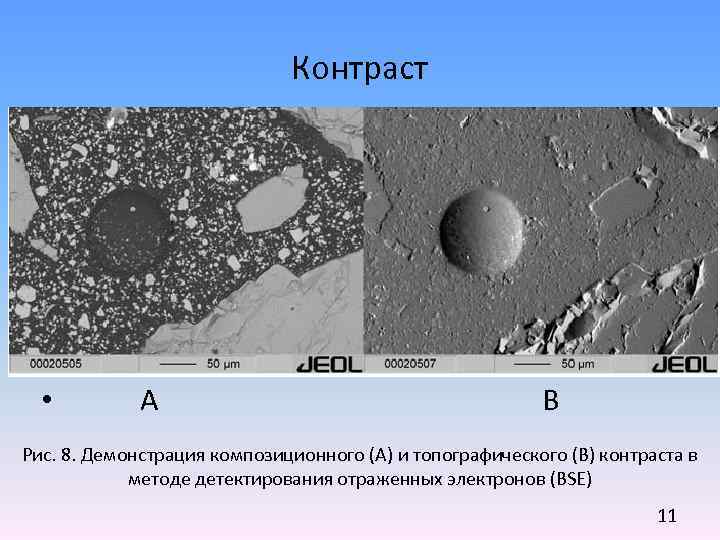 Микроскопия в светлом поле