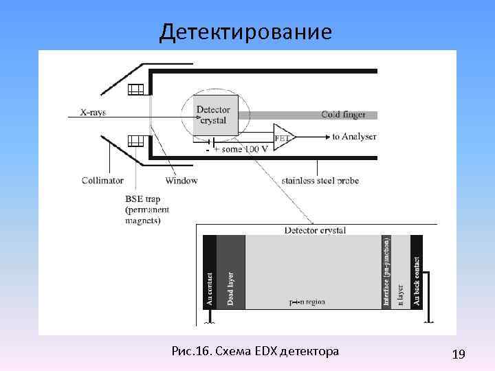 Детектирование Рис. 16. Схема EDX детектора 19 