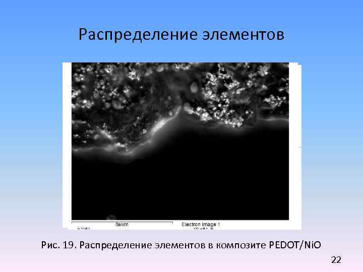 Распределение элементов Рис. 19. Распределение элементов в композите PEDOT/Ni. O 22 