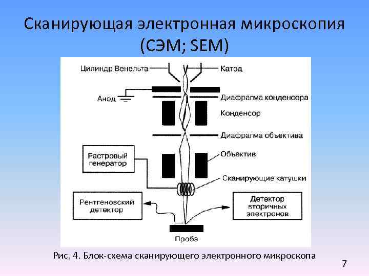 Методы сканирующей микроскопии