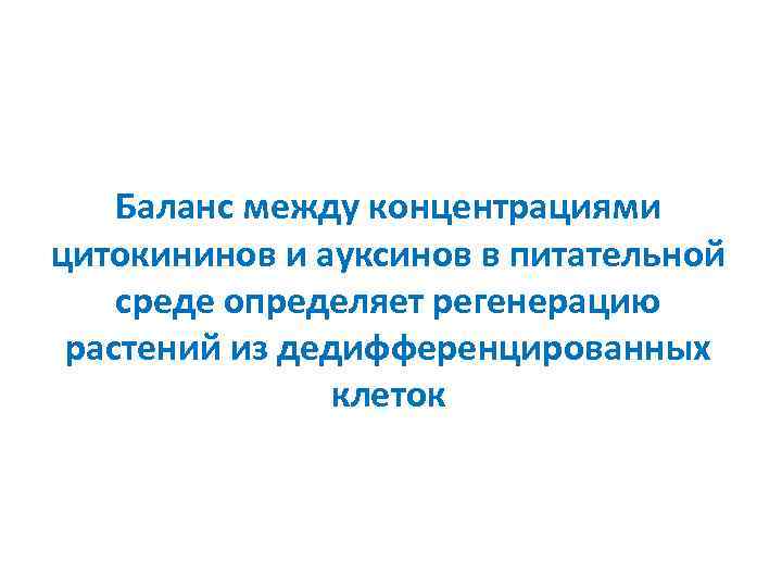 Баланс между концентрациями цитокининов и ауксинов в питательной среде определяет регенерацию растений из дедифференцированных