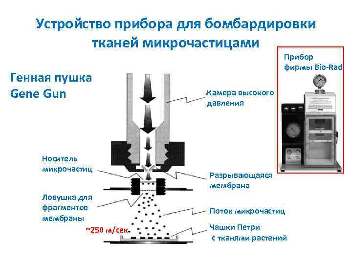 Устройство прибора для бомбардировки тканей микрочастицами Генная пушка Gene Gun Носитель микрочастиц Ловушка для