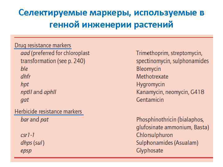 Селектируемые маркеры, используемые в генной инженерии растений 