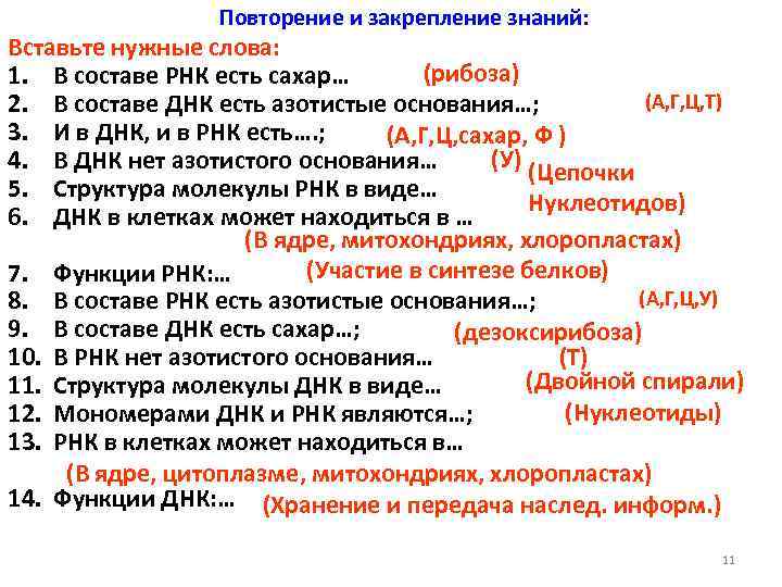 Повторение и закрепление знаний: Вставьте нужные слова: (рибоза) 1. В составе РНК есть сахар…