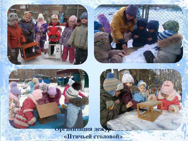 Организация дежурства по «Птичьей столовой» 