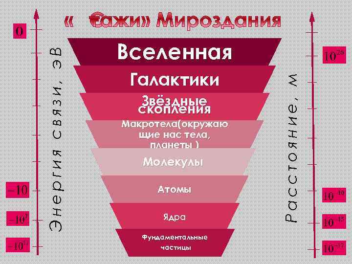 Галактики Звёздные скопления Макротела(окружаю щие нас тела, планеты ) Молекулы Атомы Ядра Фундаментальные частицы