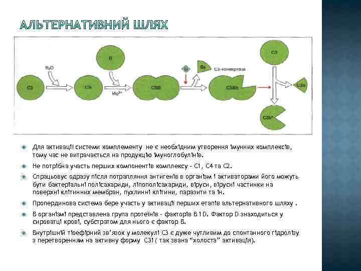 Для активації системи комплементу не є необхідним утворення імунних комплексів, тому час не