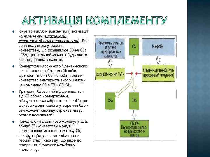  Існує три шляхи (механізми) активації комплементу: класичний, лектиновий і альтернативний. Всі вони ведуть