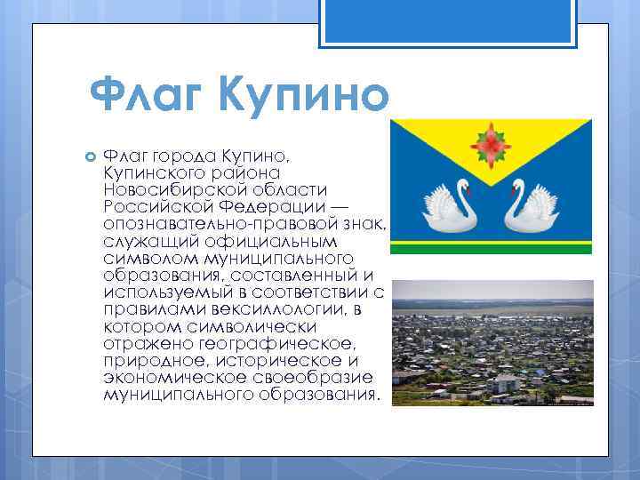 Карта купино новосибирской области улицы