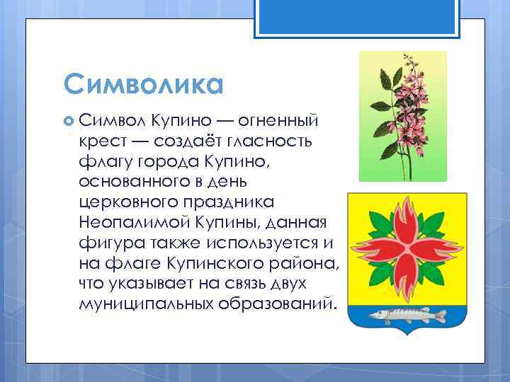 Погода купина