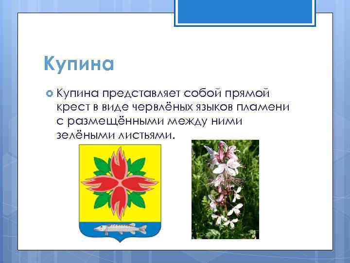 Купина представляет собой прямой крест в виде червлёных языков пламени с размещёнными между ними