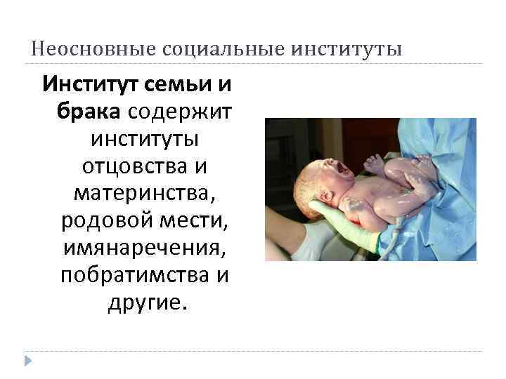 Неосновные социальные институты Институт семьи и брака содержит институты отцовства и материнства, родовой мести,