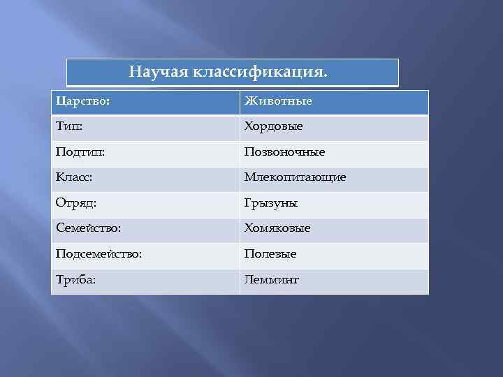 Научая классификация. Царство: Животные Тип: Хордовые Подтип: Позвоночные Класс: Млекопитающие Отряд: Грызуны Семейство: Хомяковые