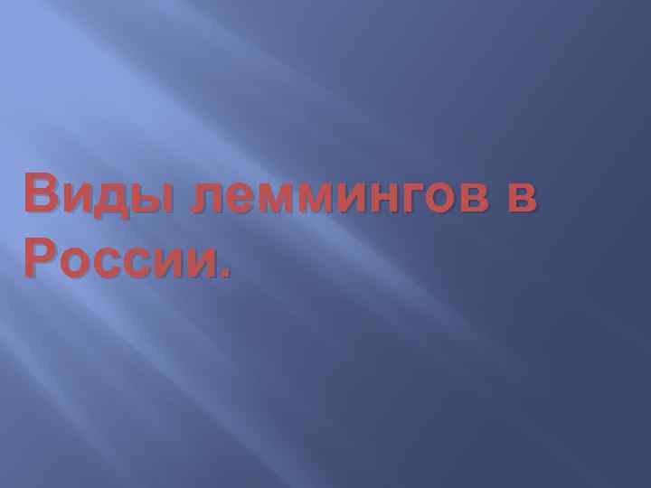 Виды леммингов в России. 