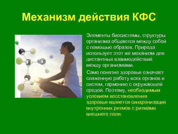 Механизм действия КФС Элементы биосистемы, структуры организма общаются между собой с помощью образов. Природа