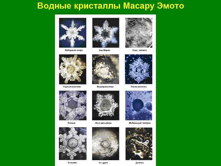 Водные кристаллы Масару Эмото 