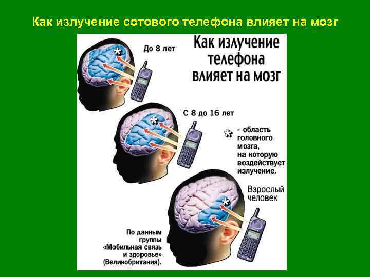 Как излучение сотового телефона влияет на мозг 